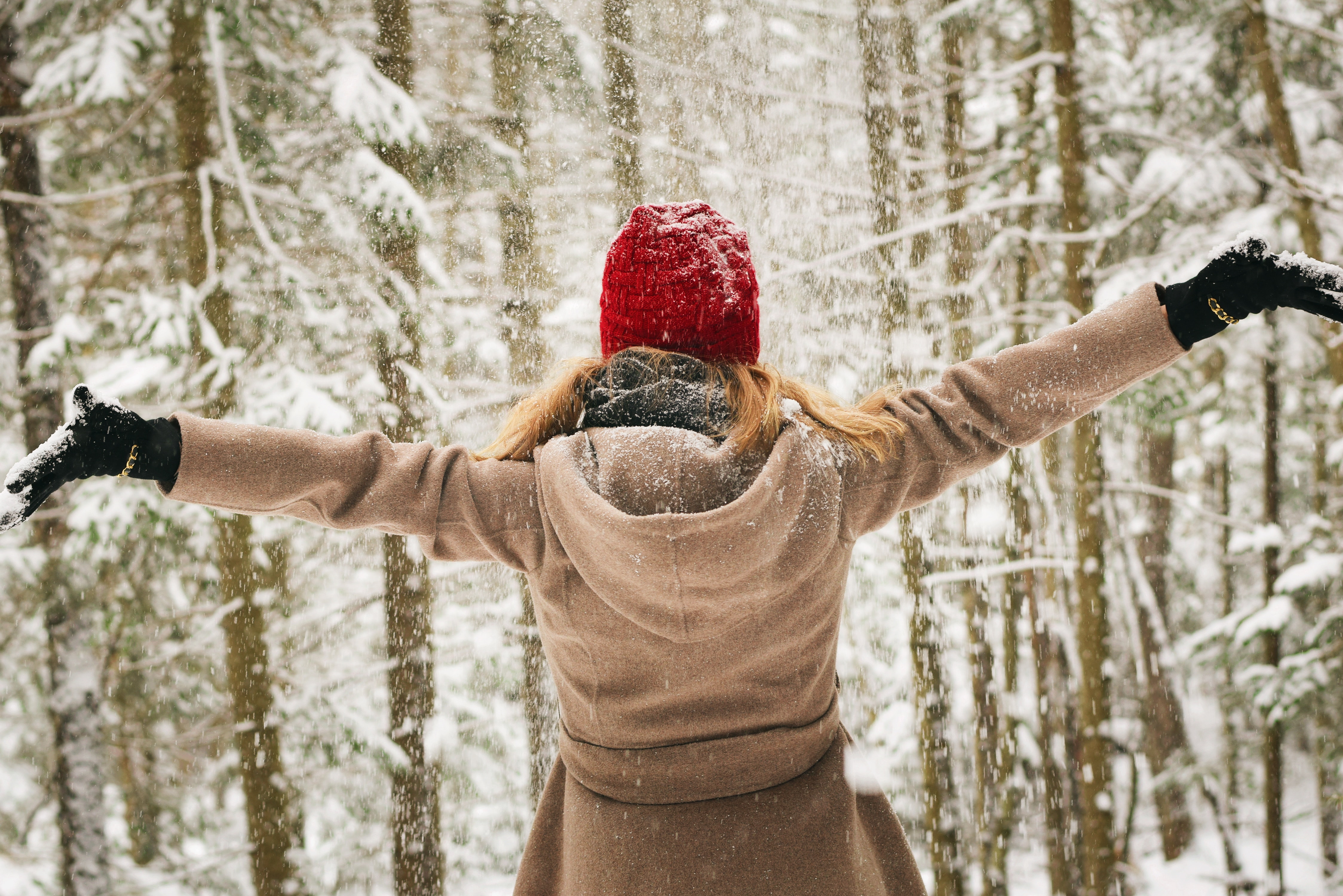 Traverser l’hiver en douceur : le rôle insoupçonné des probiotiques sur l’humeur