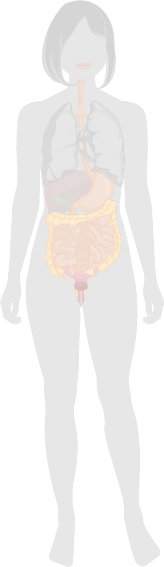 Microbiota and probiotics