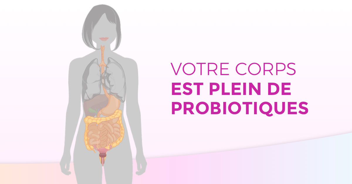 Comment prendre les probiotiques