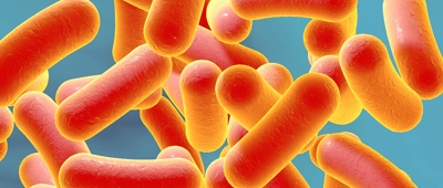 Clostridium difficile