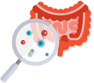Probiotiques et microbiote enfant