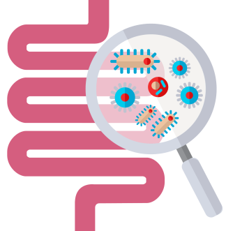 Gut flora and probiotics bacteria