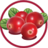 Probaclac produit Icon